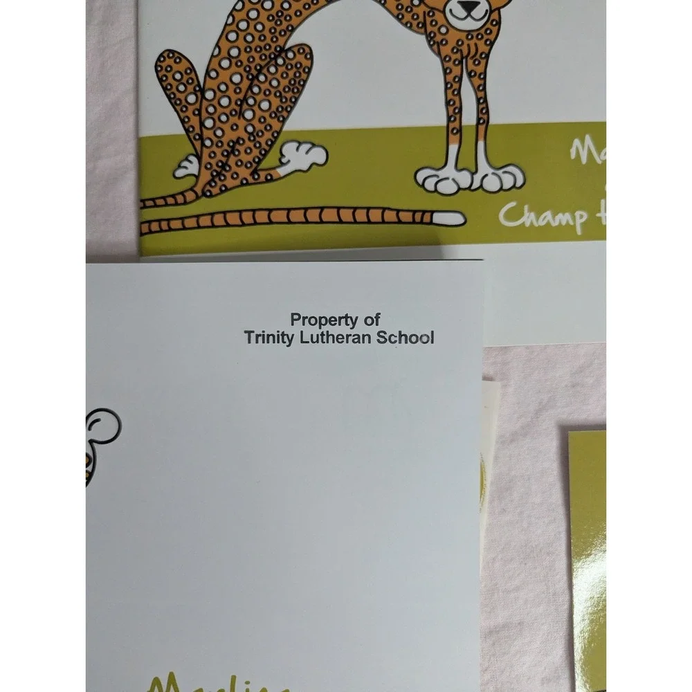 Home School Teachers Cloud‎ 9 world character books DETERMINATION lot 2nd-5th